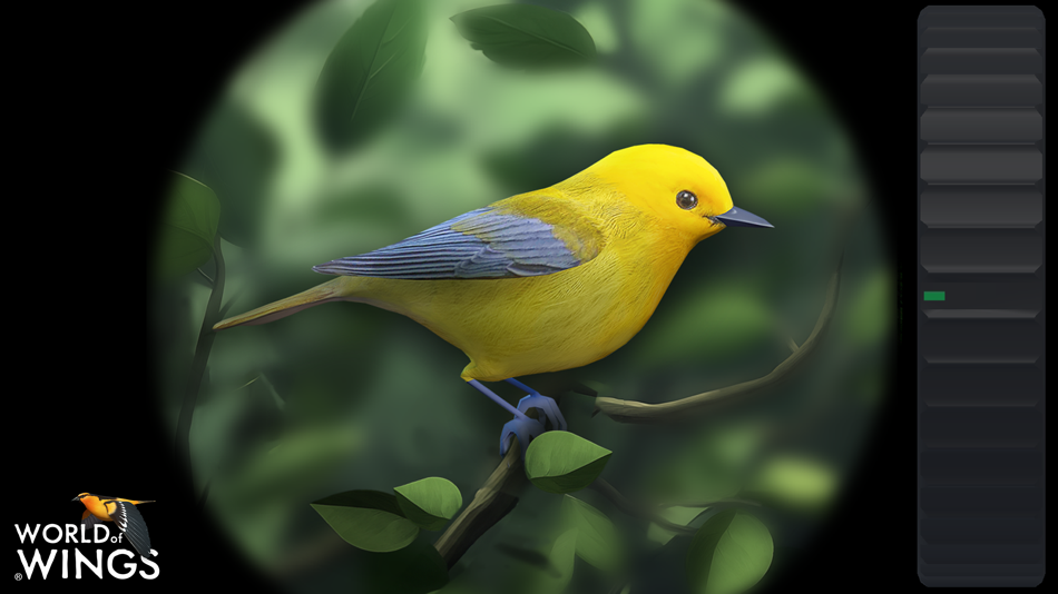 #2. World of Wings (iOS) 由: Vireo Development