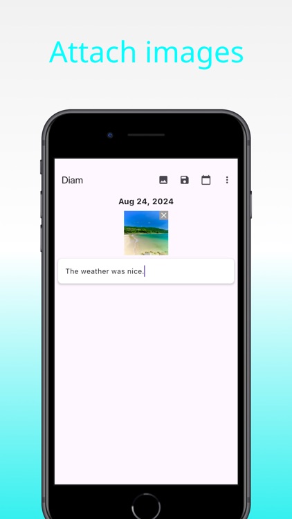 Diam - Precious Diary