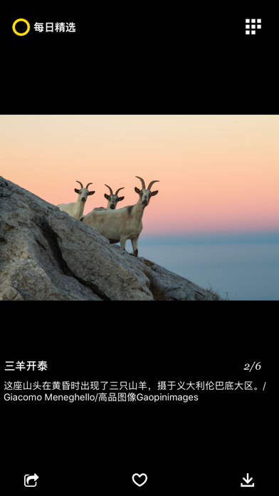 Daily Dozen-Culture in Photos Screenshot