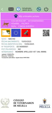 DataPets Melilla screenshot 4