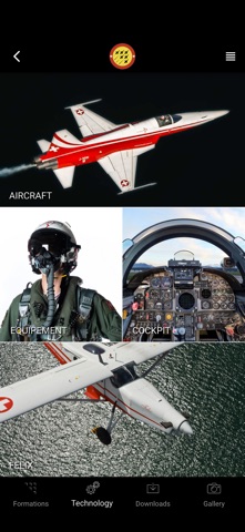 Patrouille Suisse Screenshot 5 of 5