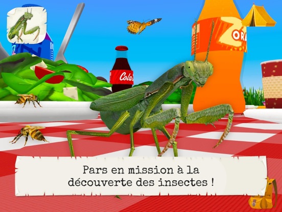Screenshot #4 pour Insectes & Araignées (Complet)