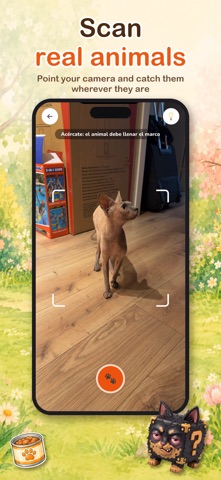 CatchPets GO Screenshot 1 of 10