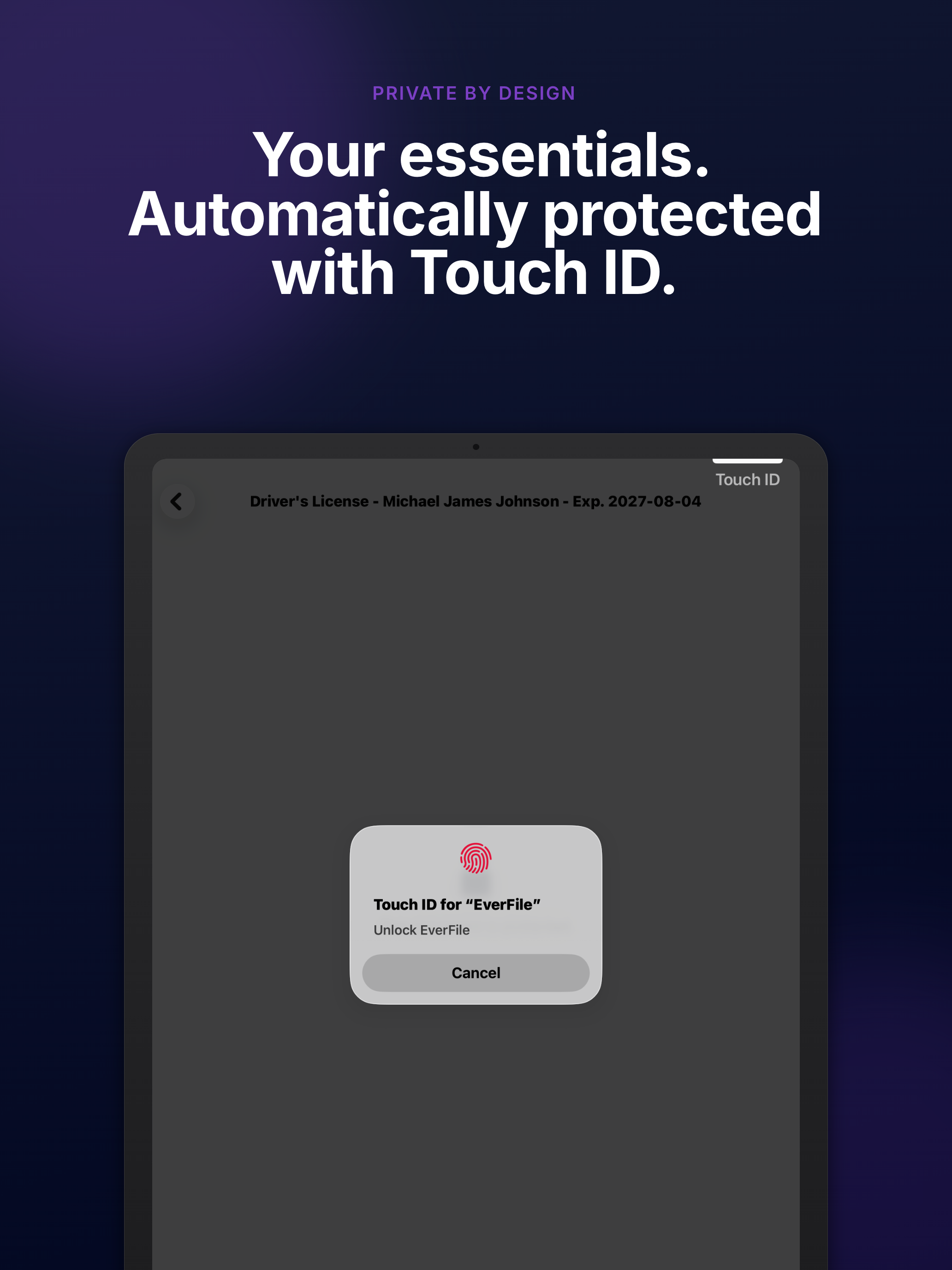 EverFile screenshot 11