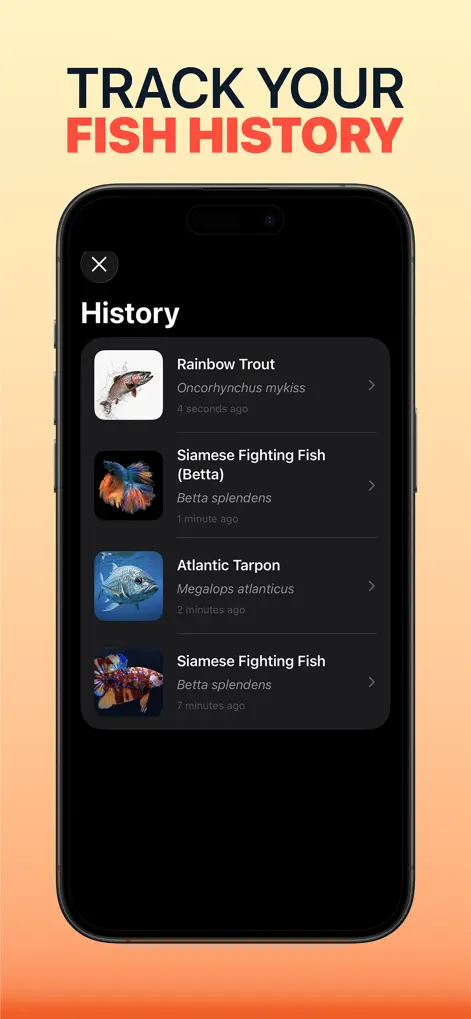 Fish Identifier & AI Scanner - Education App | MWM