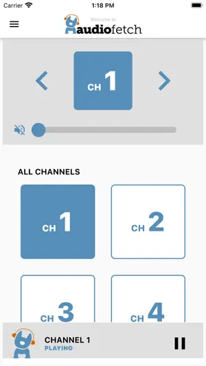 AudioFetch screenshot 1
