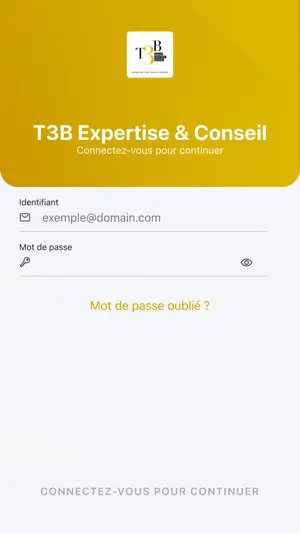 T3B Expertise & Conseil screenshot 2