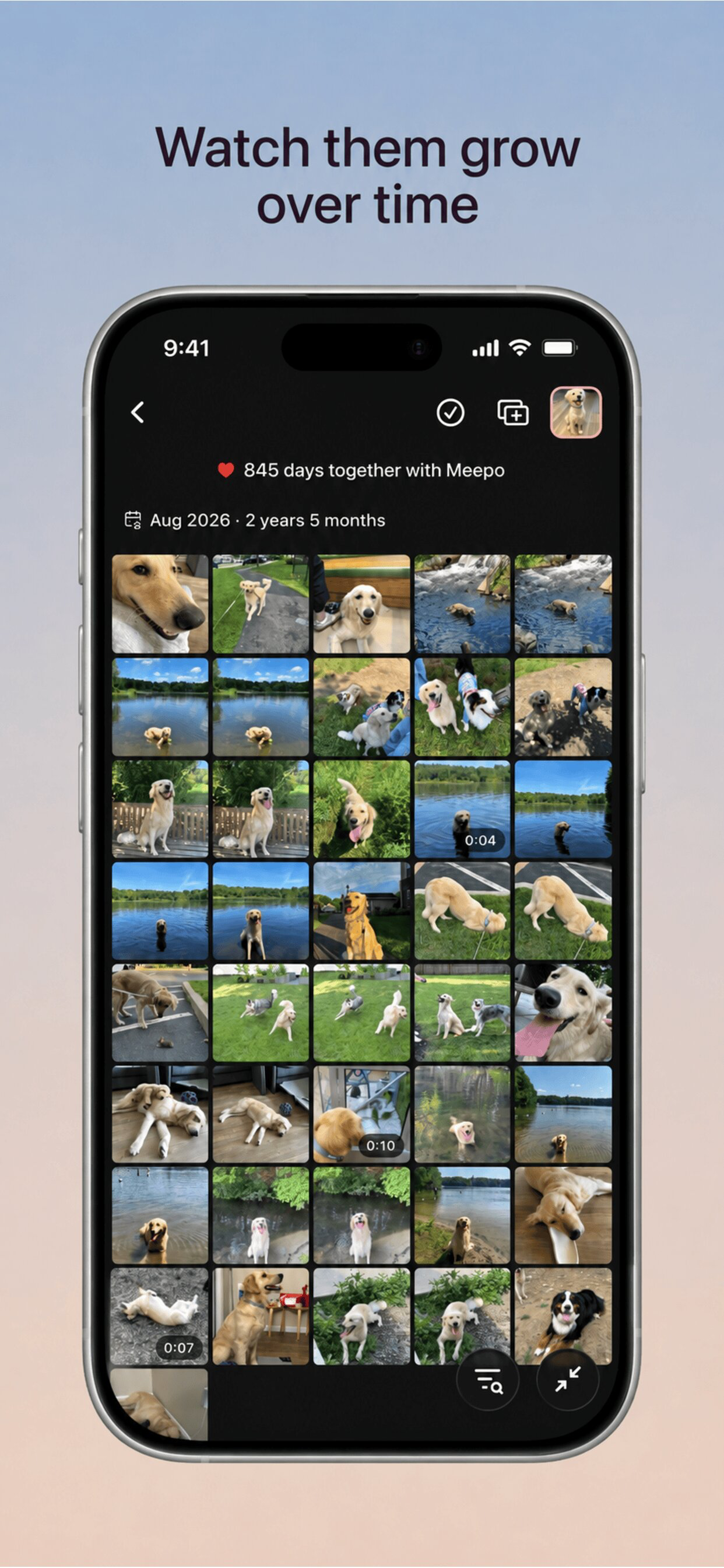 Meepo: The Pet Photo App screenshot 2