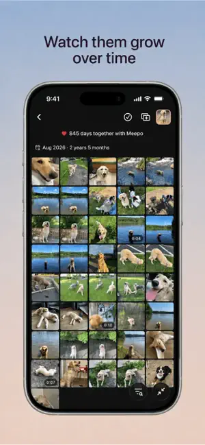 Meepo: The Pet Photo App screenshot 2