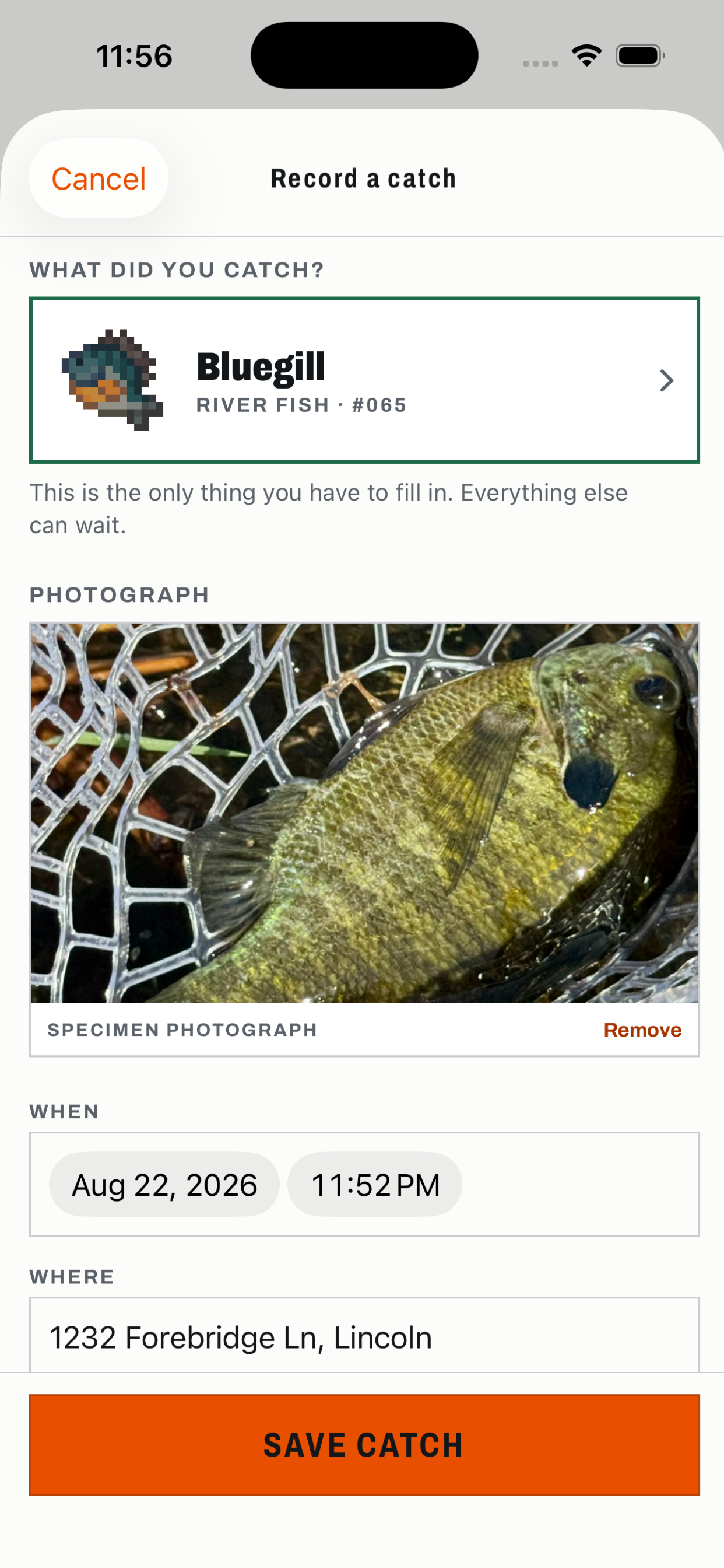 Reel Count