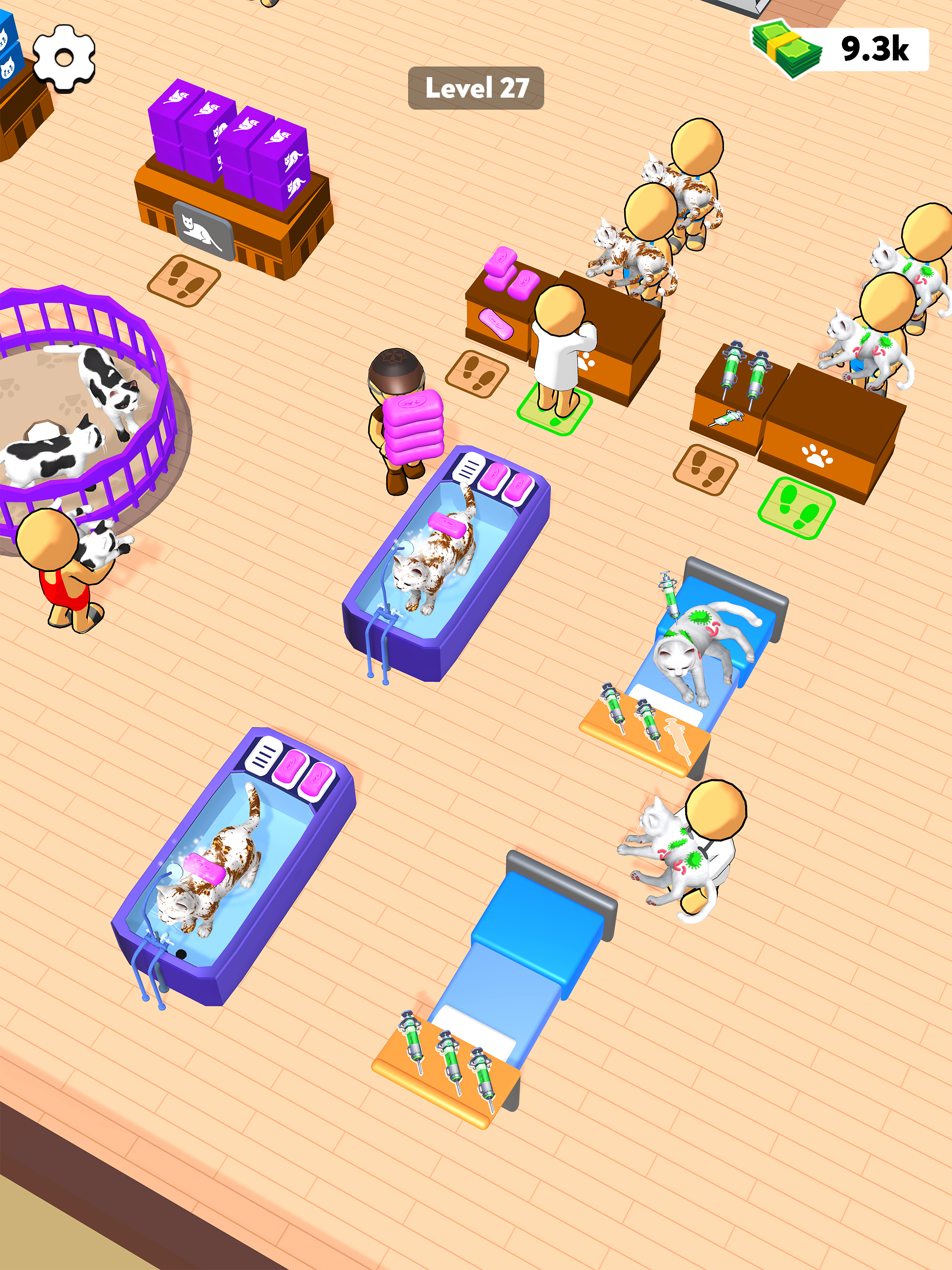 My Cat Cafe!