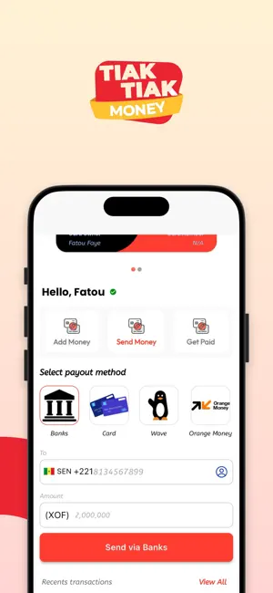 Tiak-Tiak Money screenshot 3