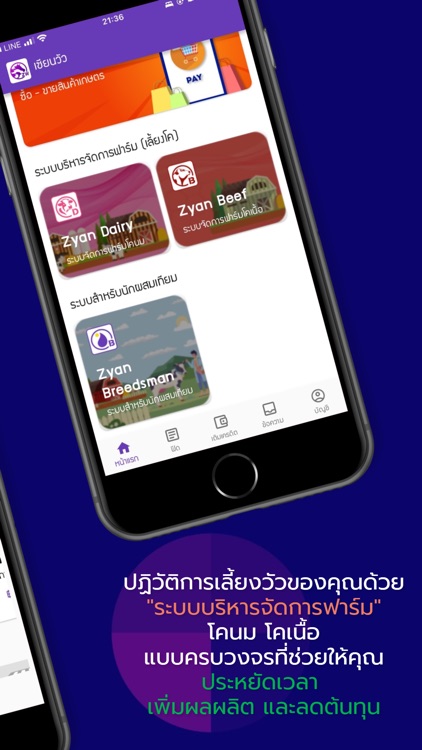 เซียนวัว