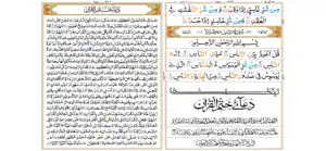 Dual Page 13 line Quran screenshot 4