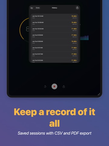 dB Meter Pro - Sound Level iPad screenshot