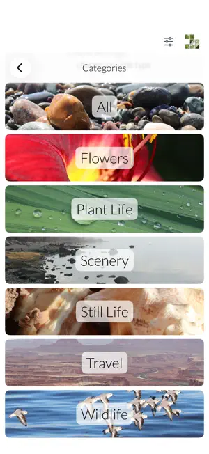 Puzzling Snapshots screenshot 1