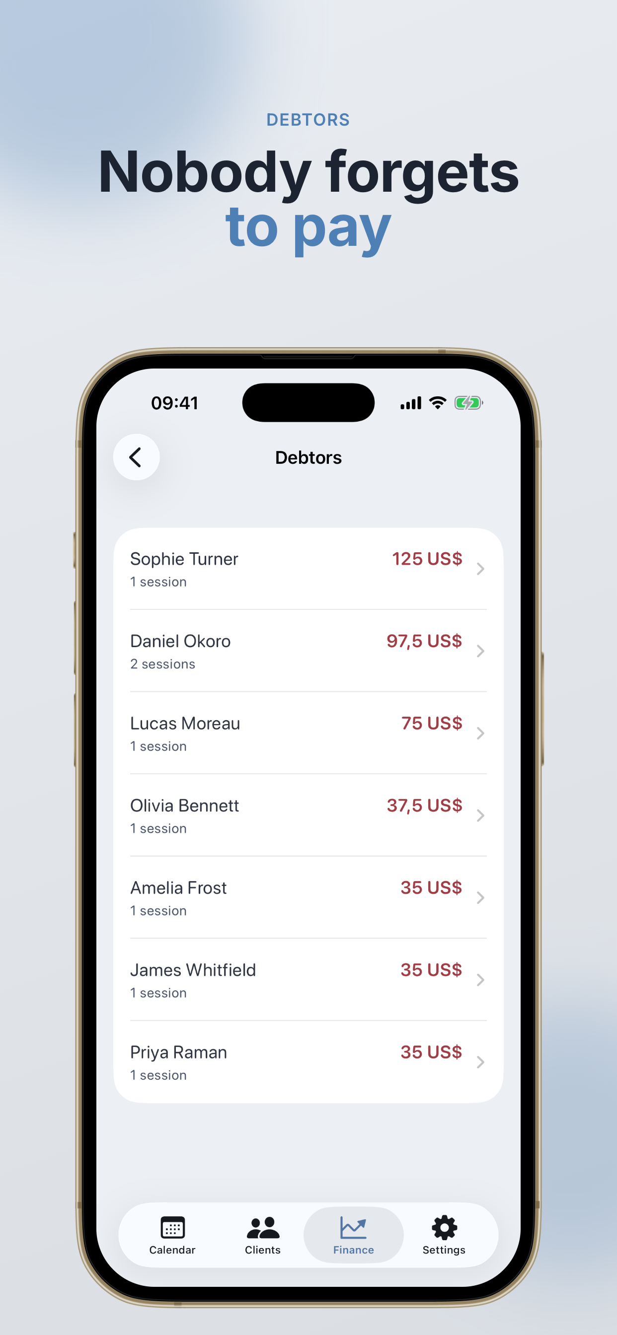 Pocket Client Book: Diary screenshot 9