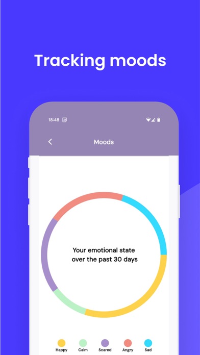 SafeAI for Mental Well-Being Screenshot