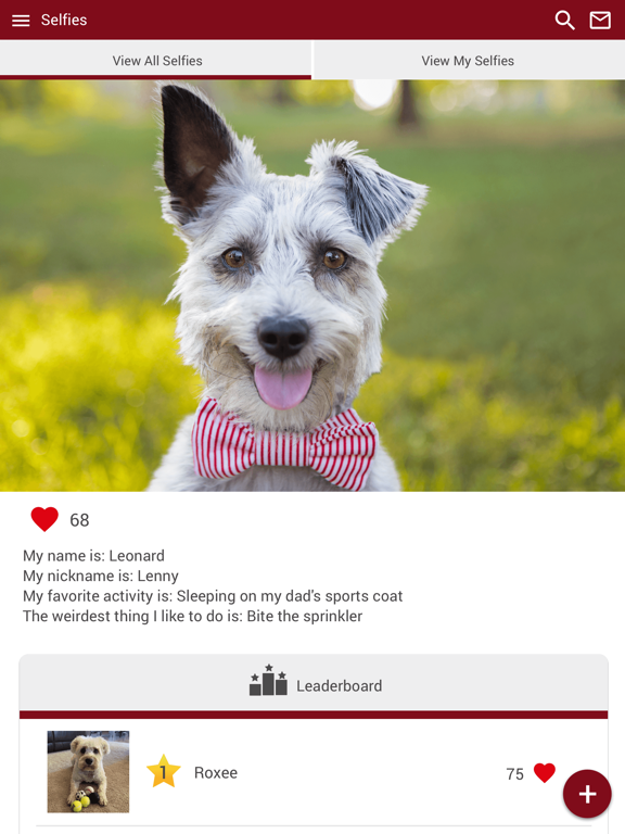 Cherryville Animal Hospital iPad screenshot 4 - Business app