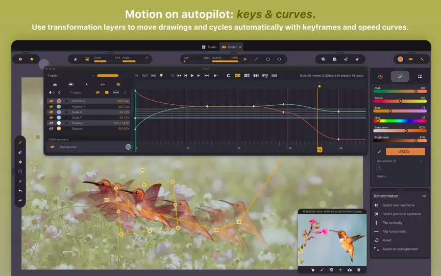 Screenshot von Callipeg Studio: 2D Animation auf dem iPhone 7