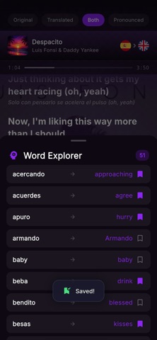 SongSense: Lyrics Translated Screenshot 6 of 6