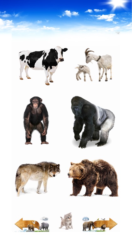 Amazing Animal Sounds Pro