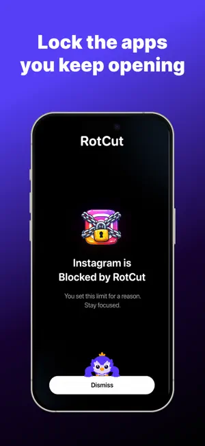 Rotcut: Screen Time Control screenshot 4