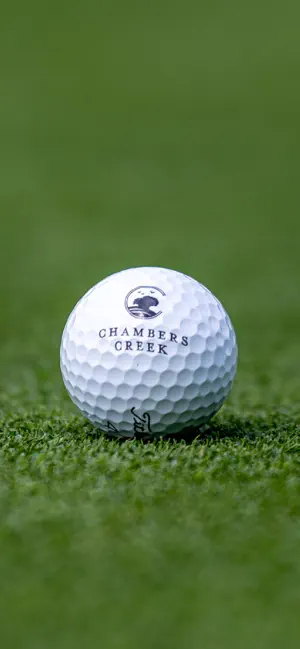 Chambers Creek screenshot 1
