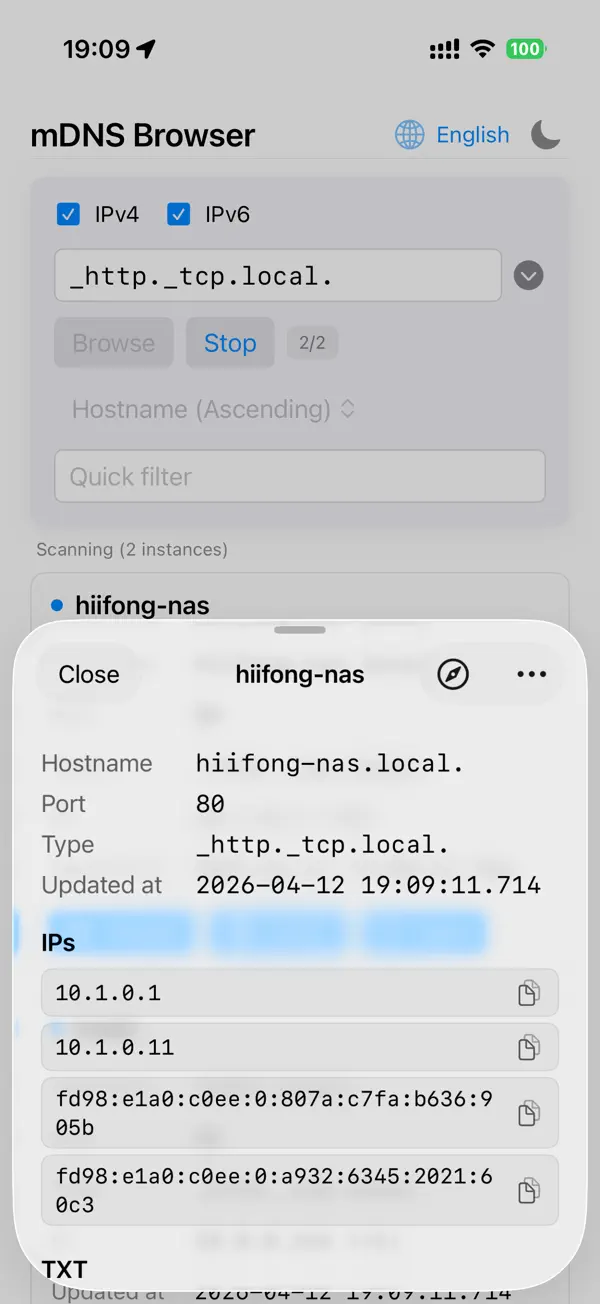 Screenshot #3 pour mDNS-Browser