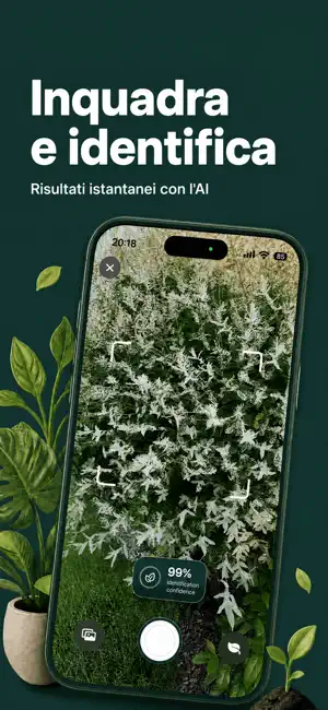 Arbori – Identifica le piante iPhone screenshot 2