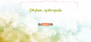 Phylum Arthropoda screenshot 1