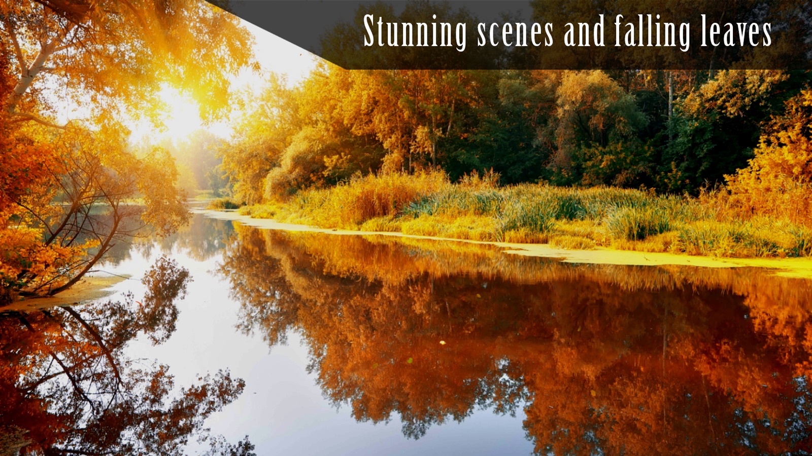 Autumn Ambience apple_tv screenshot 3