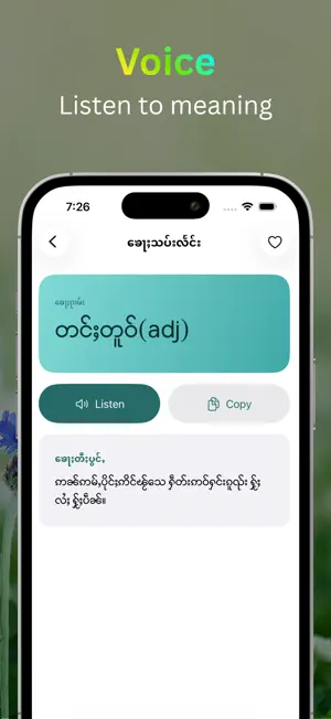Tai Tai Dictionary: Shan Words screenshot 3