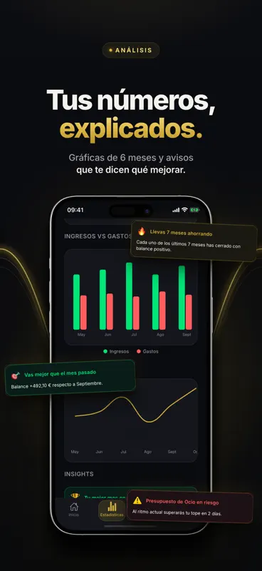 Lingot: Gastos y Patrimonio screenshot 8 of 9