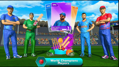 Cricket Super Over Challenge Screenshot