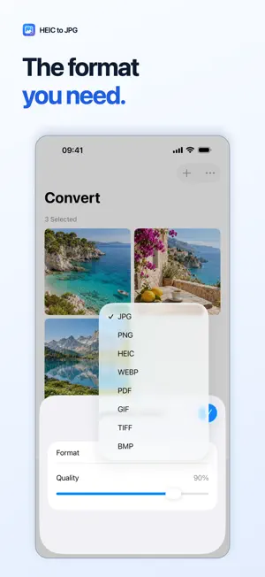 HEIC to JPG: Batch Converter screenshot 2