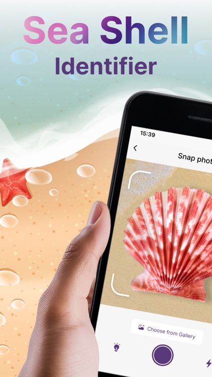 Conchology Identifier