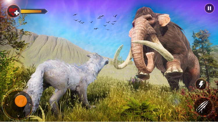 The Wild Wolf Life Simulator 1