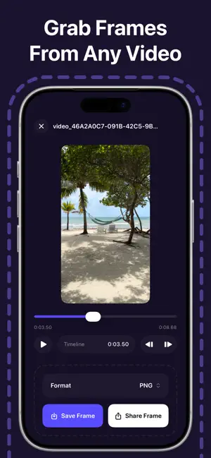 Frame Grabber & Video to Pic screenshot 2