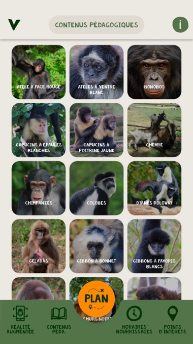 La Vallée des Singes Screenshot