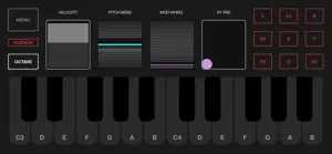 KeyPad MIDI Controller screenshot 1