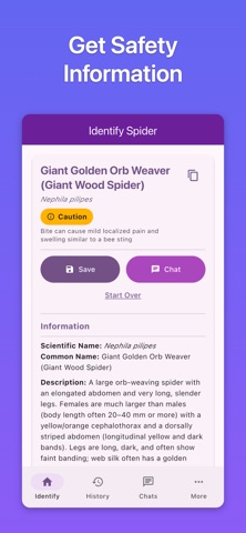Spider Ace: Spider Identifier iPhone screenshot