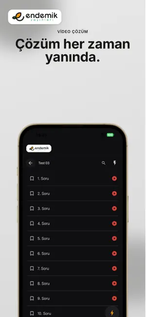 Endemik Video Çözüm screenshot 3