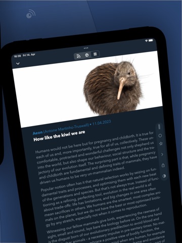 Fiery Feeds: Leitor de RSS iPad screenshot 7