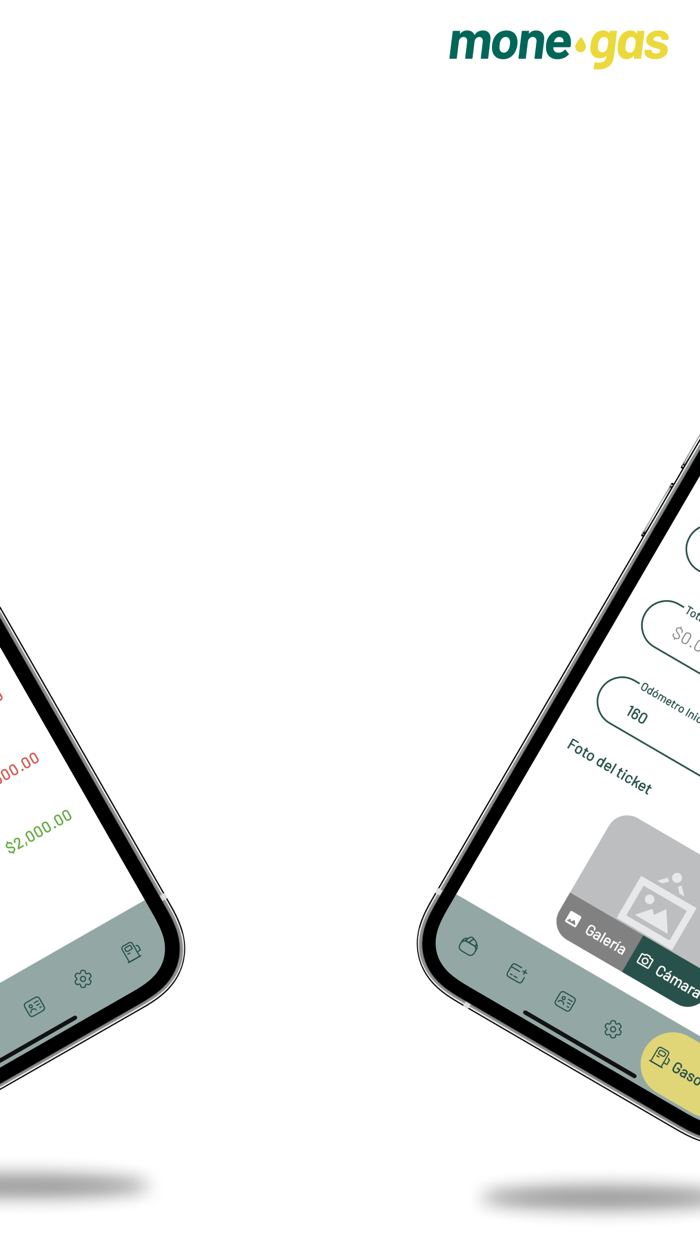 MoneGas