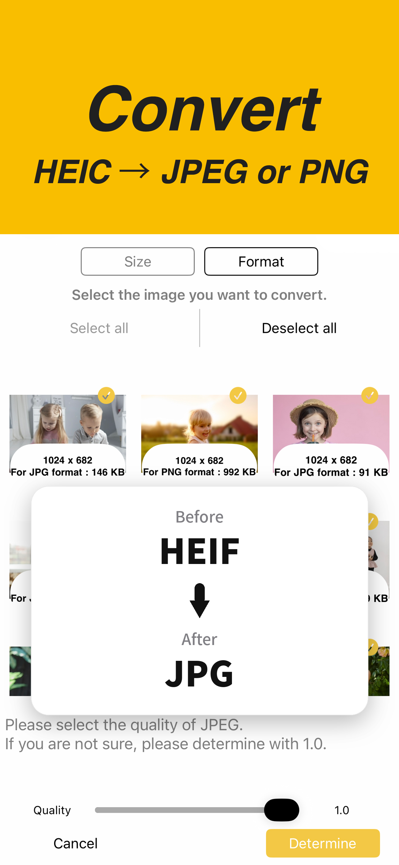 Batch Photo Compress & Resize screenshot 3