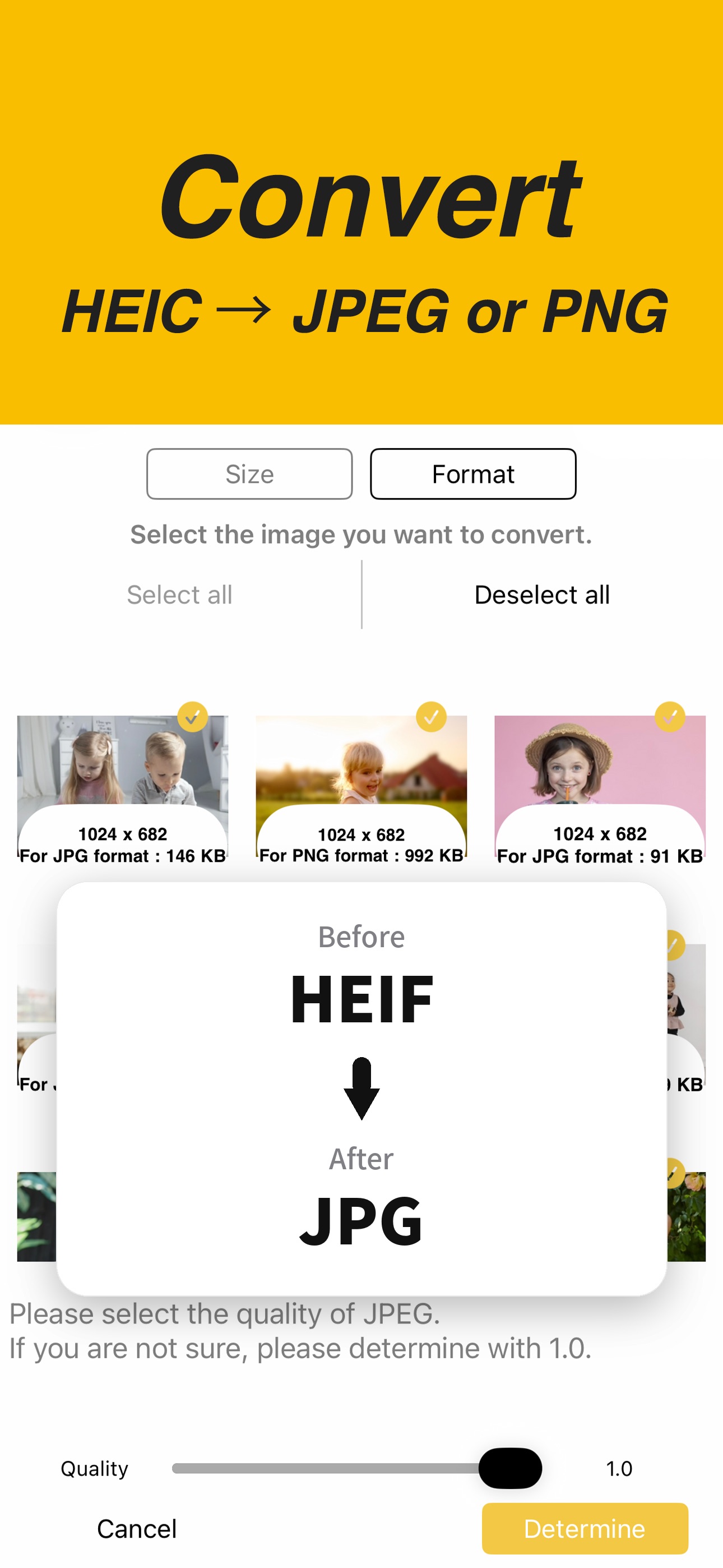 Screenshot 3 of Batch Photo Compress & Resize