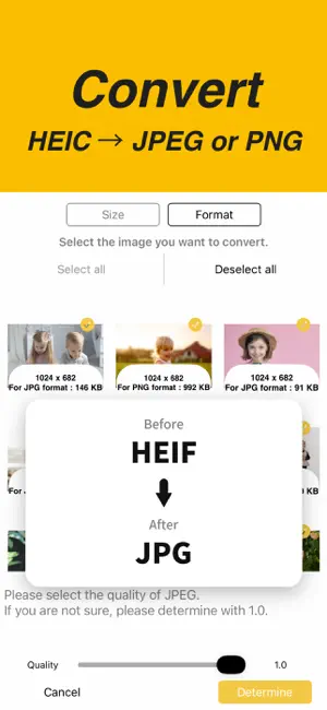 Batch Photo Compress & Resize screenshot 3