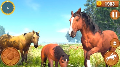 Wild Horse Equestrian Family Screenshot