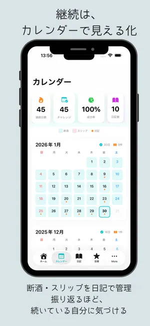 Mirai Sober screenshot 2